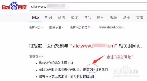 百度网站收录方法插图