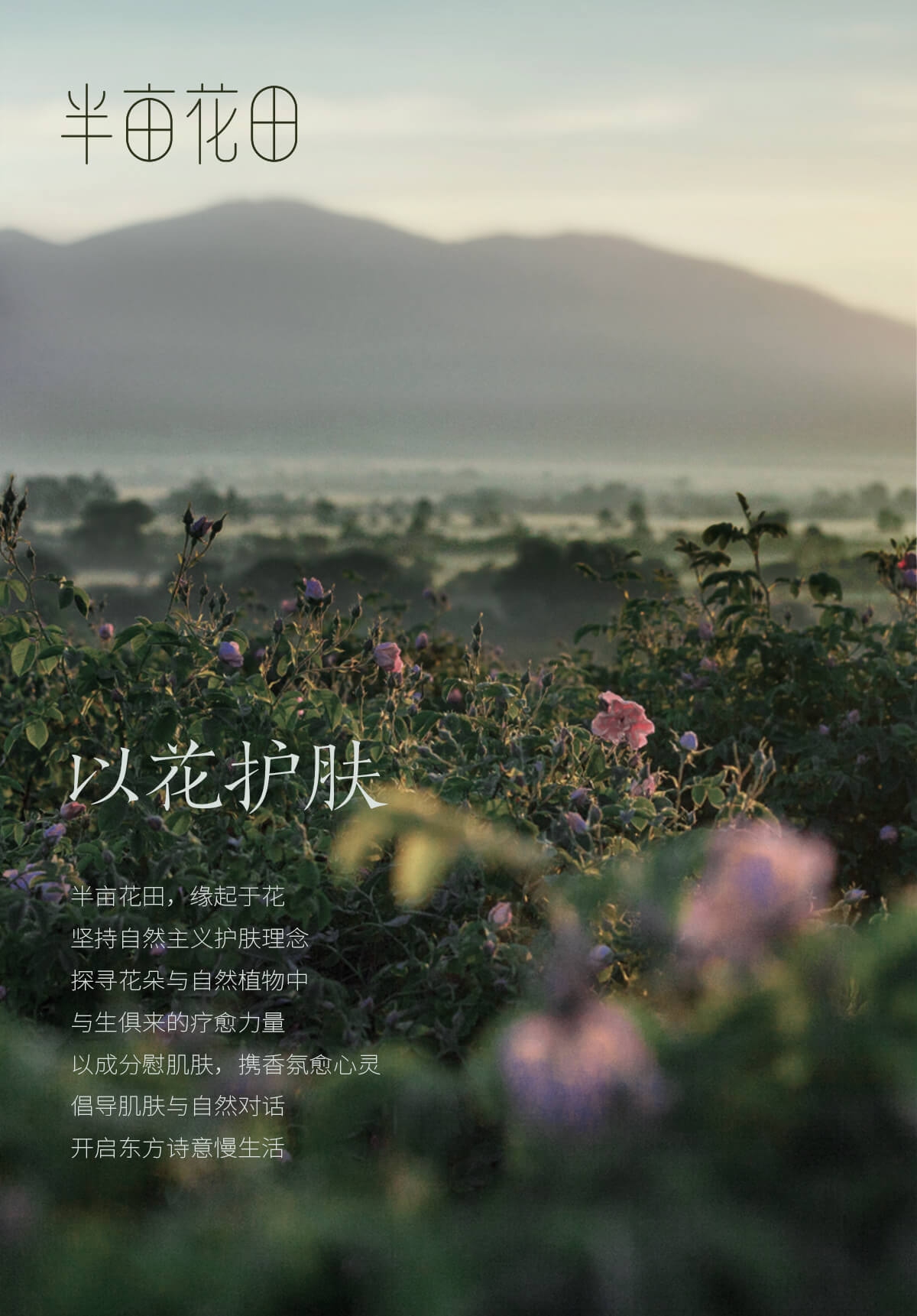 半亩花田首页设计模板的魅力与运用插图