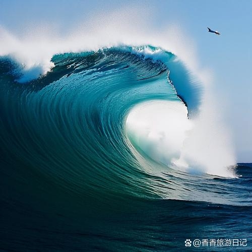 波西米亚热浪袭来插图