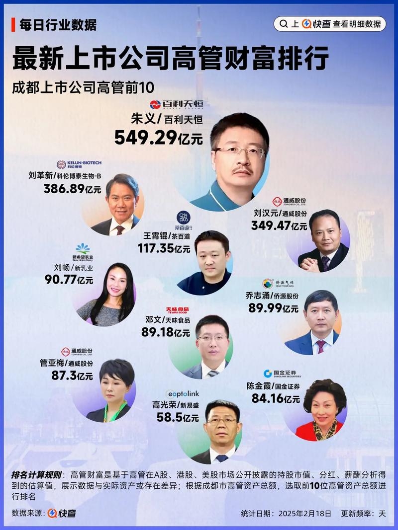 成都软件开发上市公司财务负责人年薪揭秘插图