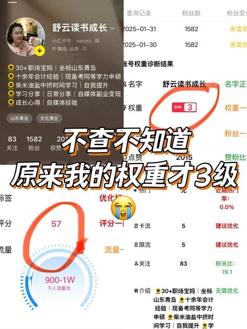 查权重软件，快手账号与网站权重的查询平台插图