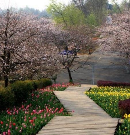 长沙植物园微信公众号探秘插图