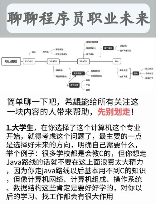 程序员从何处起步，探索编程之路的起点插图