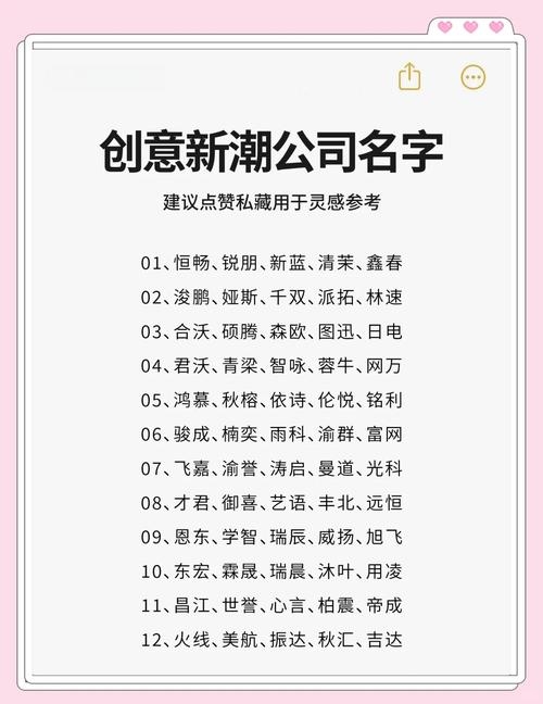 创意新潮网络公司名字的构思与解析插图