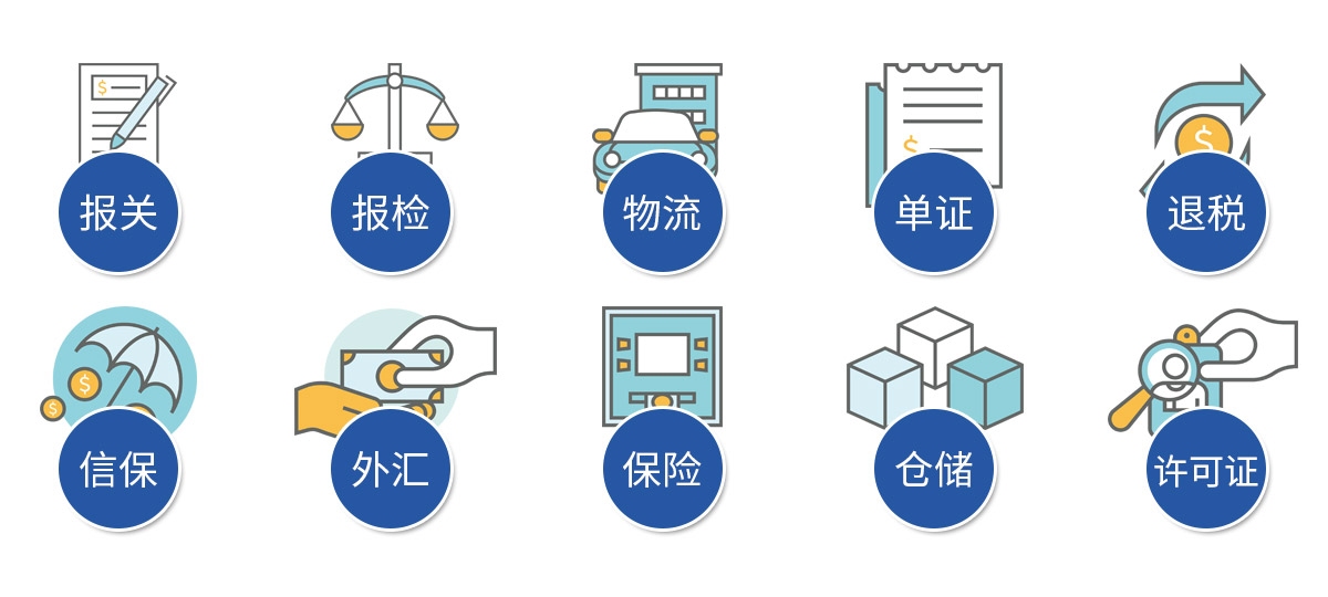 代理软件进出口与货代的差异，服务对象与工作重点不同。插图