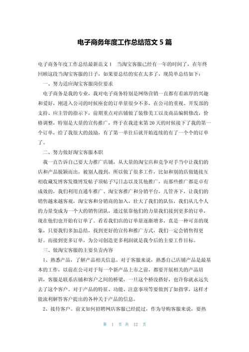 电商设计年度总结报告插图