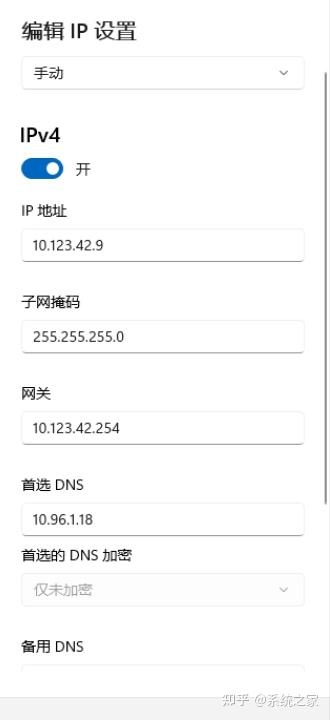 电脑DNS异常如何修复Win11系统下的解决方案插图 电脑DNS异常如何修复Win11系统下的解决方案插图