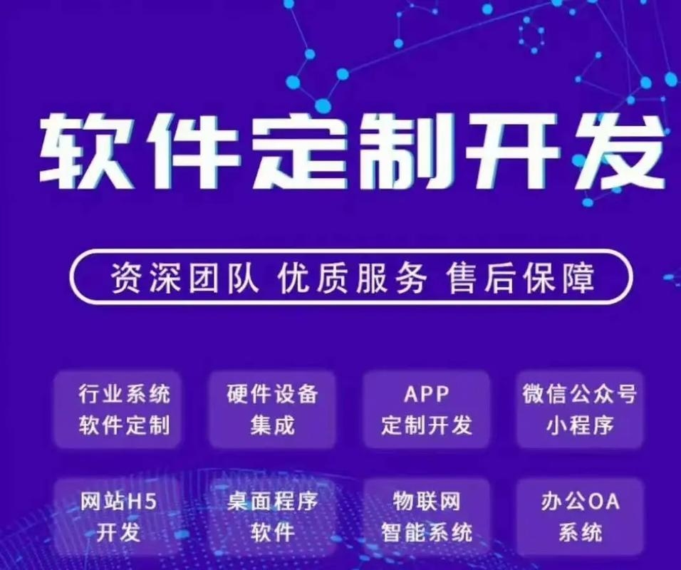 定制软件服务商，专业高端软件开发制作方案提供商插图