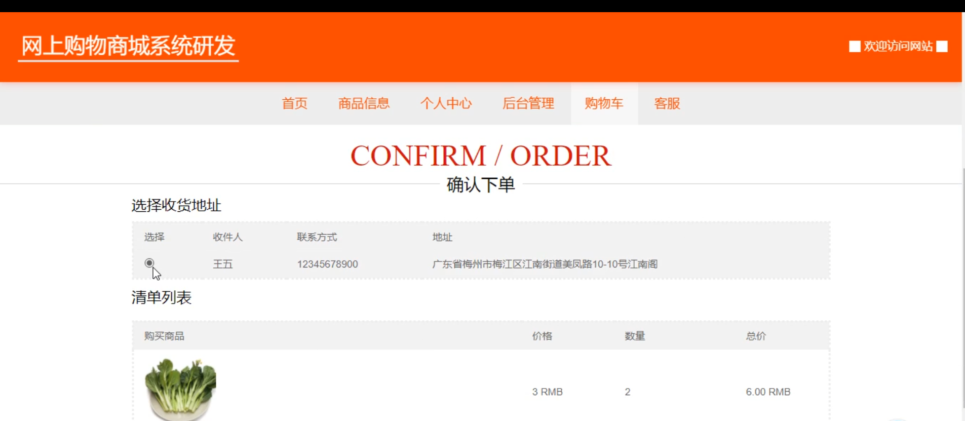 佛山商城模板网站公司，打造高效、便捷的在线购物体验插图