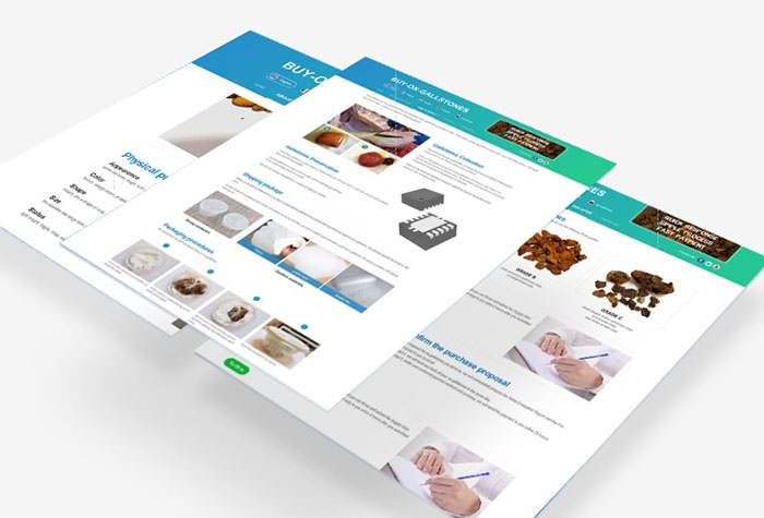 佛山外贸网站建设咨询，打造高效、专业的外贸网站插图