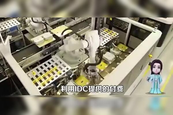 服务器托管，大品牌业务的电话连接与未来展望插图