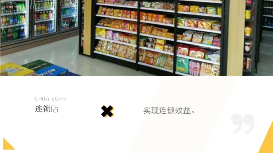 分销系统的目标与愿景插图