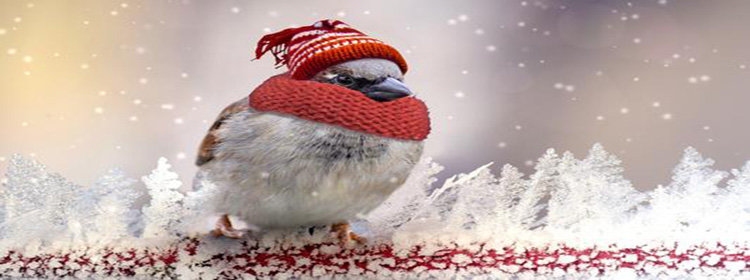 服装定制APP排行插图