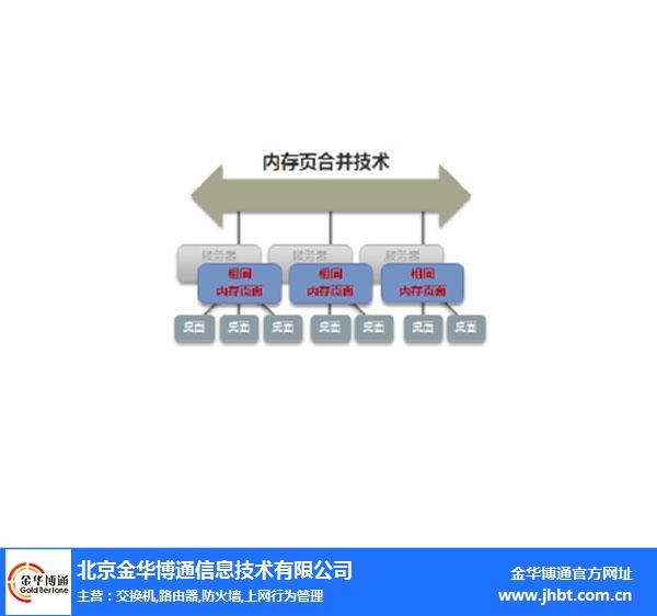广东服务器厂家与虚拟化技术领先者插图
