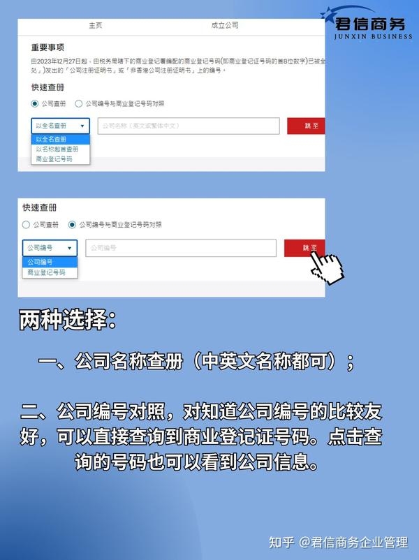 国家政务服务平台企业信息查询指南插图