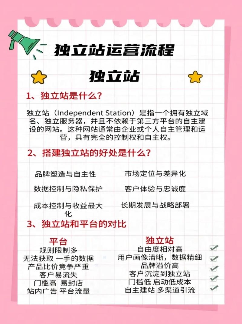 国内电商独立站的概述与分类插图