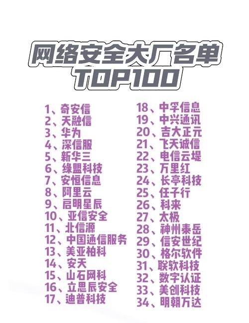 国内顶尖网络安全公司一览插图