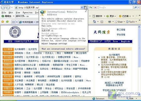 公司的中文域名有什么用插图