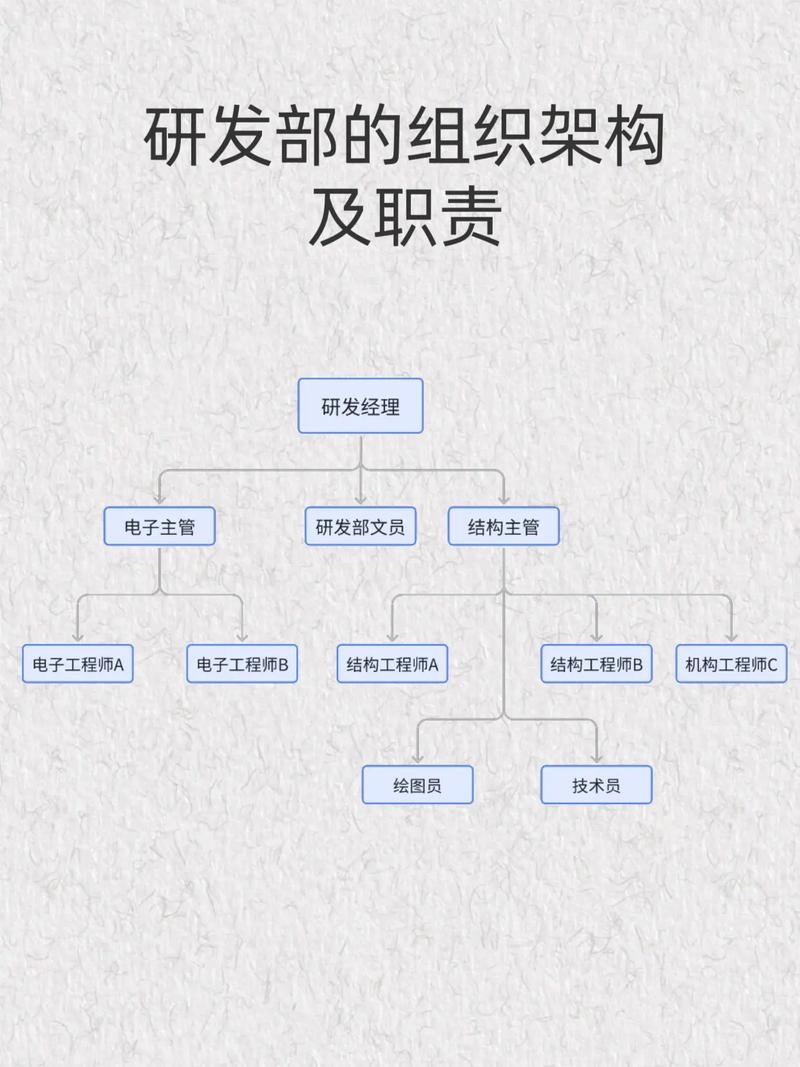 公司技术领导体系，CTO与研发主管等职位解析插图