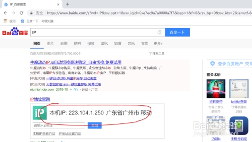 公网IP查看方法及判断依据简介插图 公网IP查看方法及判断依据简介插图