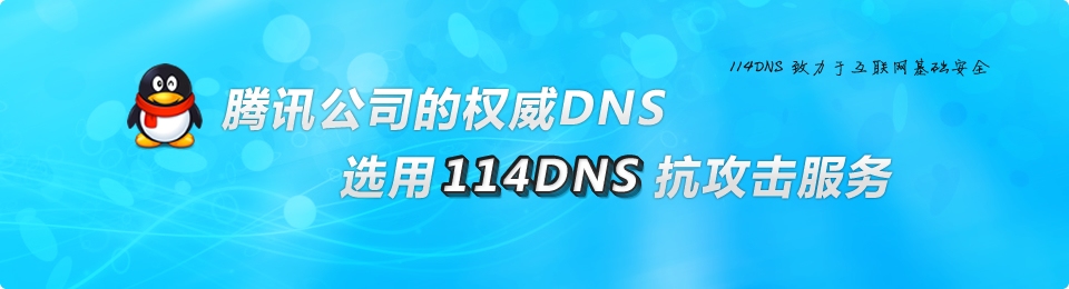 关于114 DNS IP地址的解析与应用插图