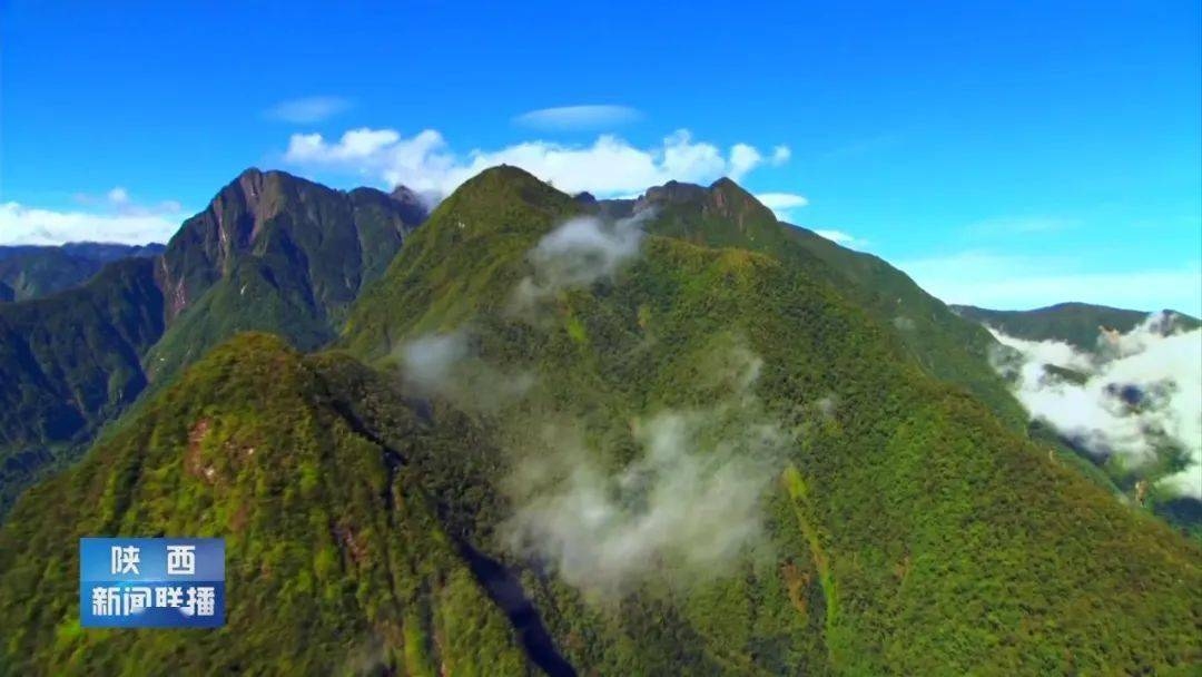 高质量发展的五大关键词，经济、政治建设与创新，文化繁荣与社会发展环境友好插图