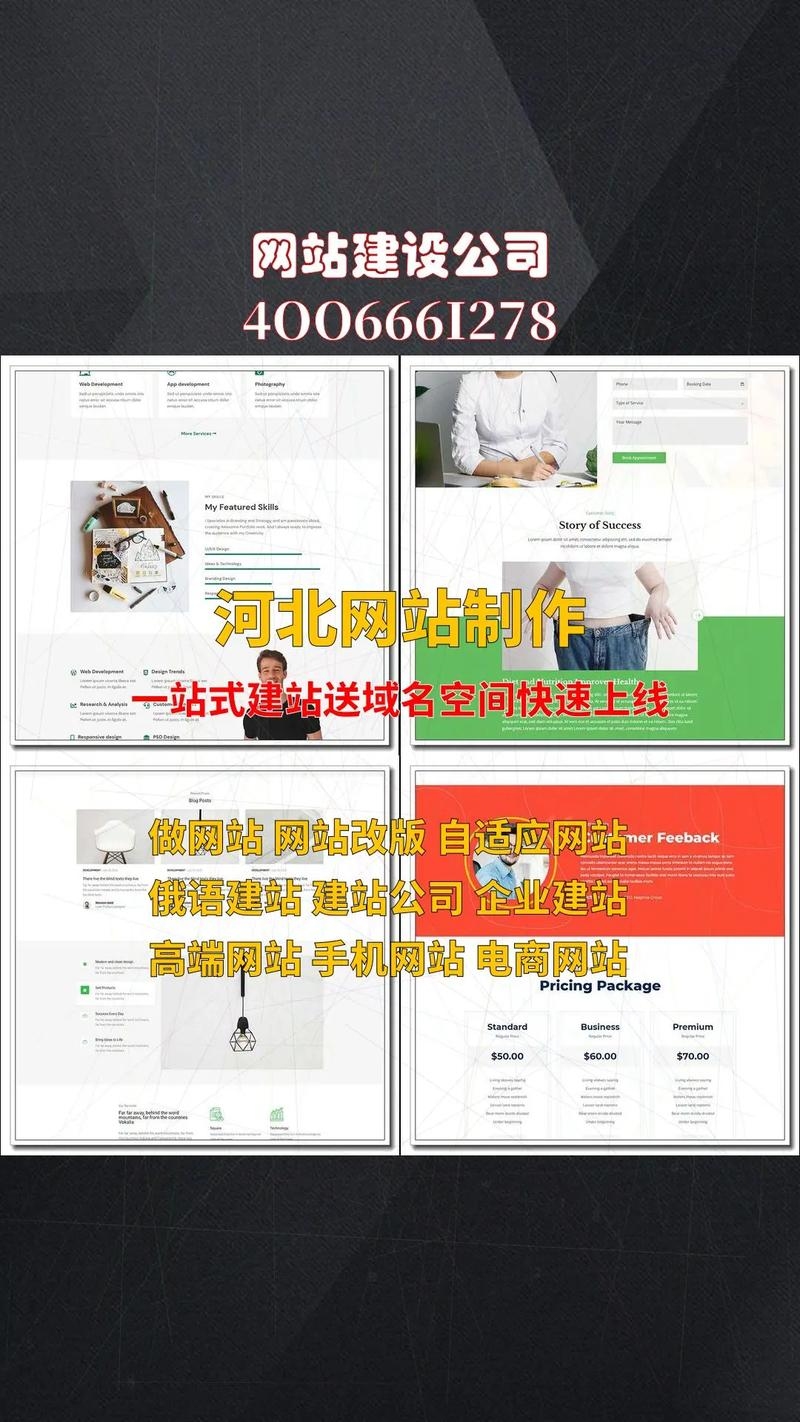 河北网上制作网站的发展与影响插图