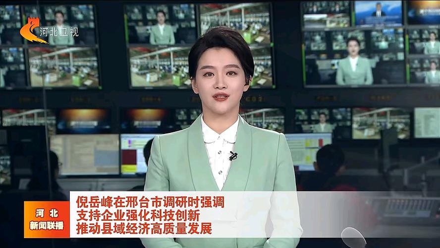 河北新闻网官网直播—新闻现场的实时传递插图