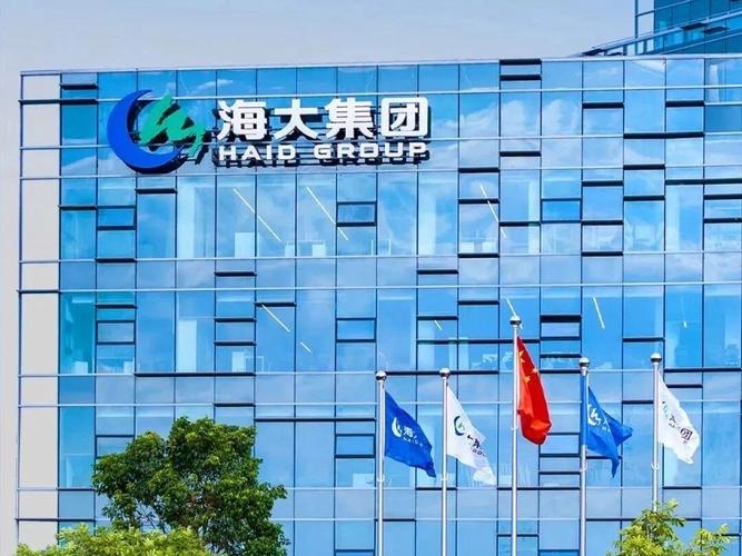 海大科技集团，多元化业务布局的领军企业插图