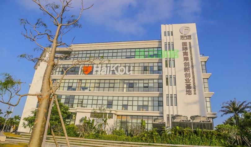 海口专业网站建设与科技发展公司插图