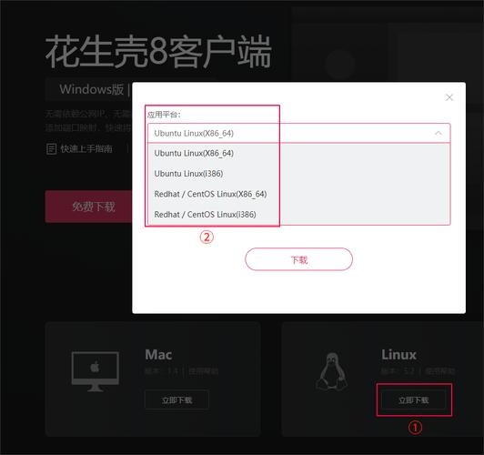 花生壳个人网站建立教程插图
