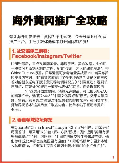 海外黄冈软件推广策略插图