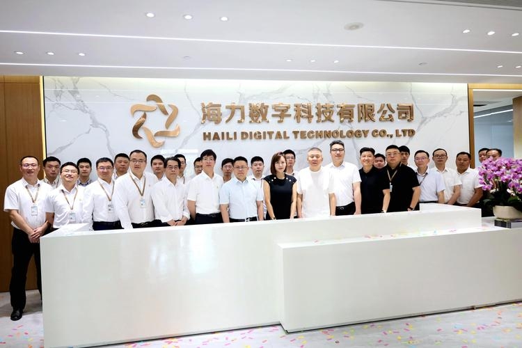 海南海呈网络科技有限公司，探索数字未来的先驱插图