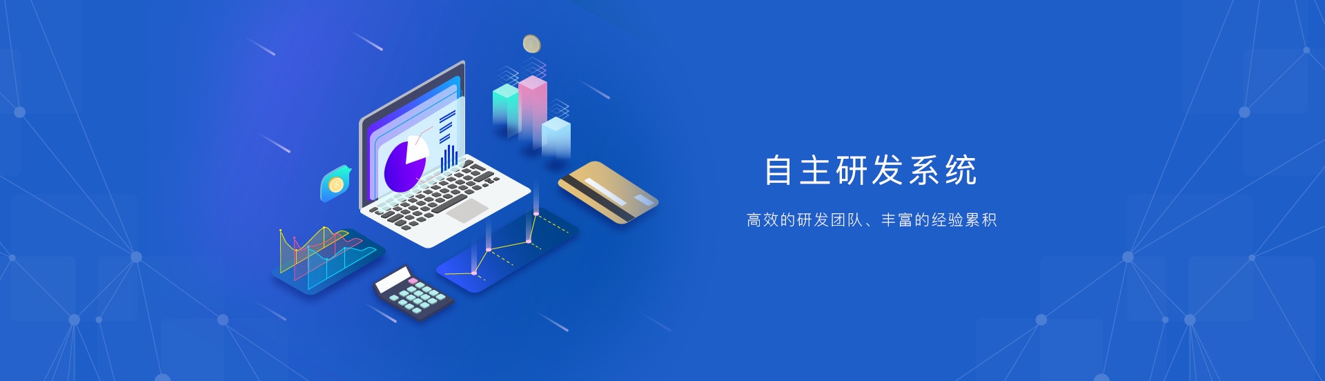 湖南岚鸿—专业网站建设服务公司的典范插图