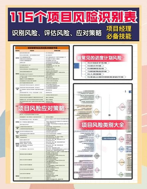 汉中项目管理与风险防范指南插图