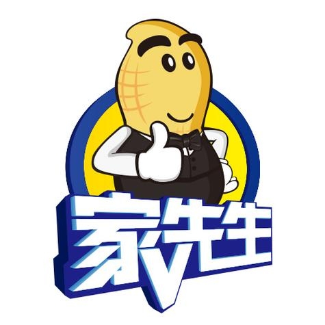 家电服务热线与家先生互联网公司插图