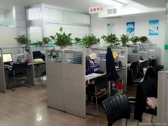 济南正牌网络科技有限公司，科技引领未来插图