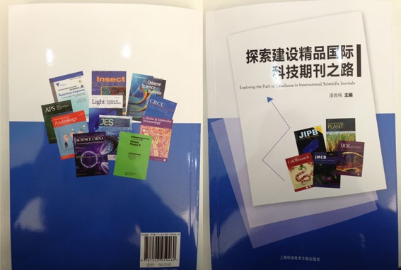 建站新体验，探索精品推荐之旅插图