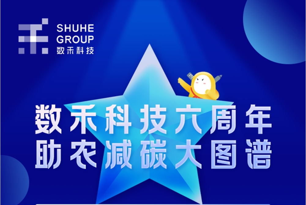 龙岩网络公司，引领数字时代的先锋力量插图