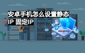 路由器固定IP设置教程，详细步骤与注意事项插图