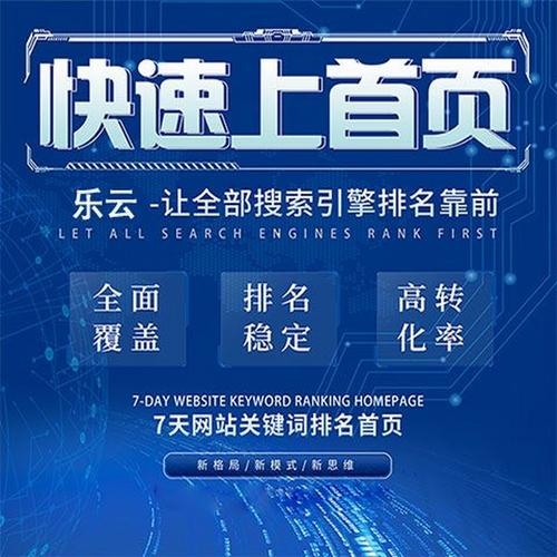 乐云SEO，网站开发的关键与乐趣插图