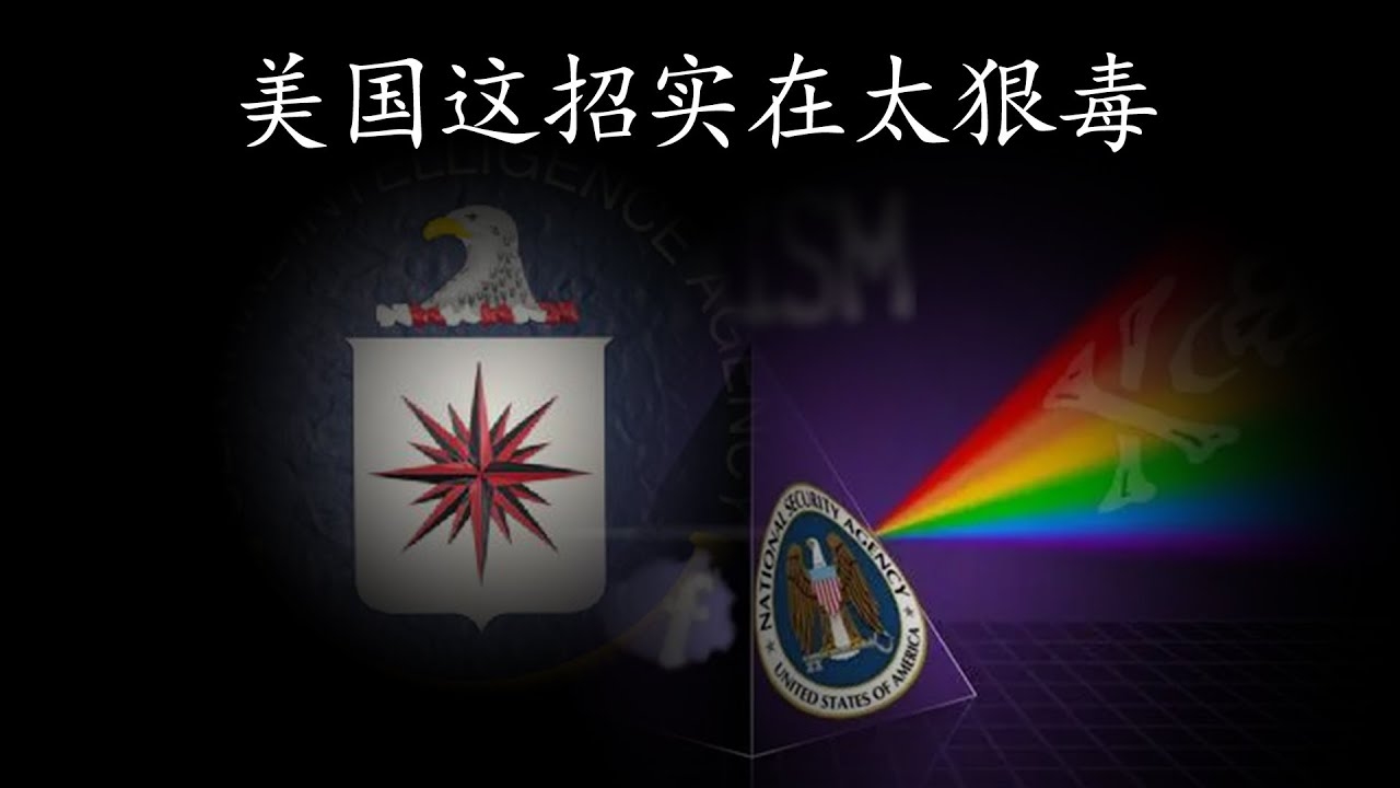 美国法律保护网站警惕插图