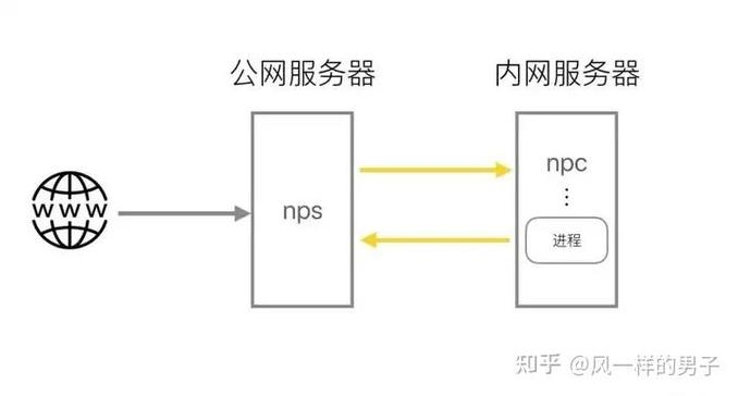 内网穿透工具介绍及快速访问指南，从FRP到NPS，涵盖NAT、DDNS和更多技术，本文介绍了多种内网穿透工具的特性和使用场景。标题简洁明了地概括了文章的核心内容，内网穿透工具详解。插图