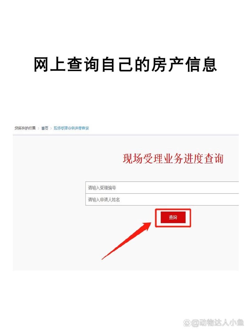 平果市房管局网站查询房产服务插图