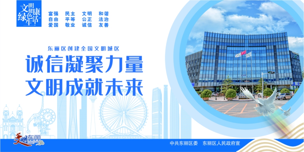 普宁整站优化的实践与思考插图