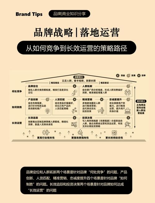 品牌运营方案未来展望插图 品牌运营方案未来展望插图