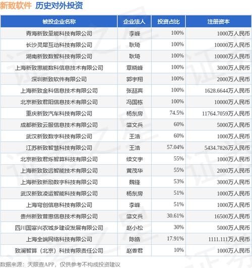 青海软件开发公司名单插图