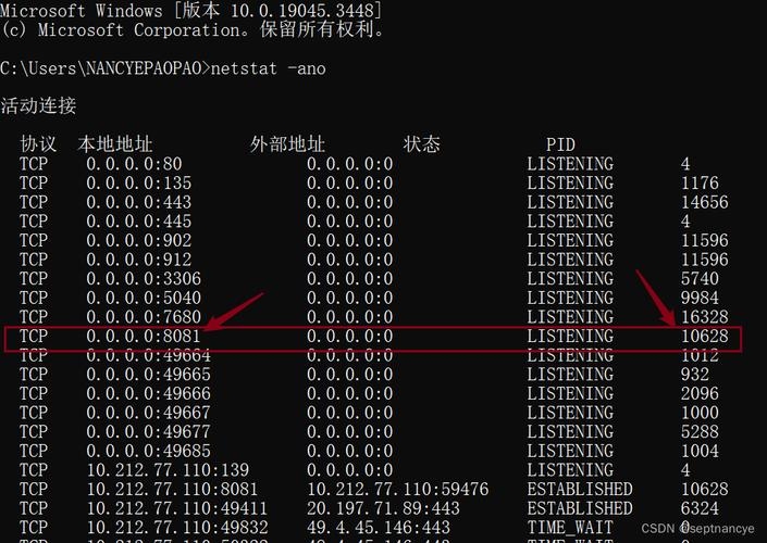 如何查看并管理端口占用情况插图