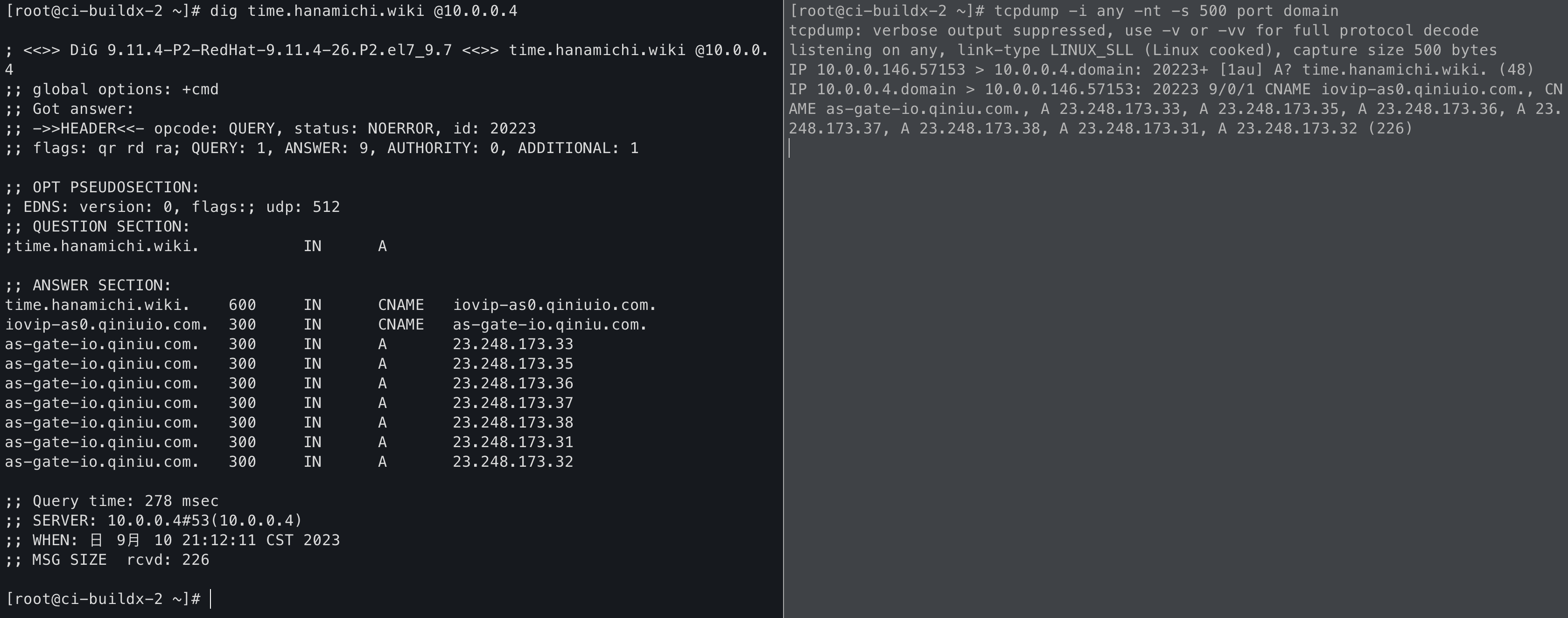 如何查看网站的DNS插图
