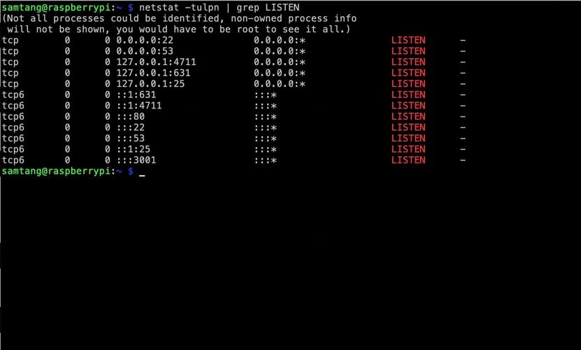 如何查看Linux系统中的端口占用情况插图